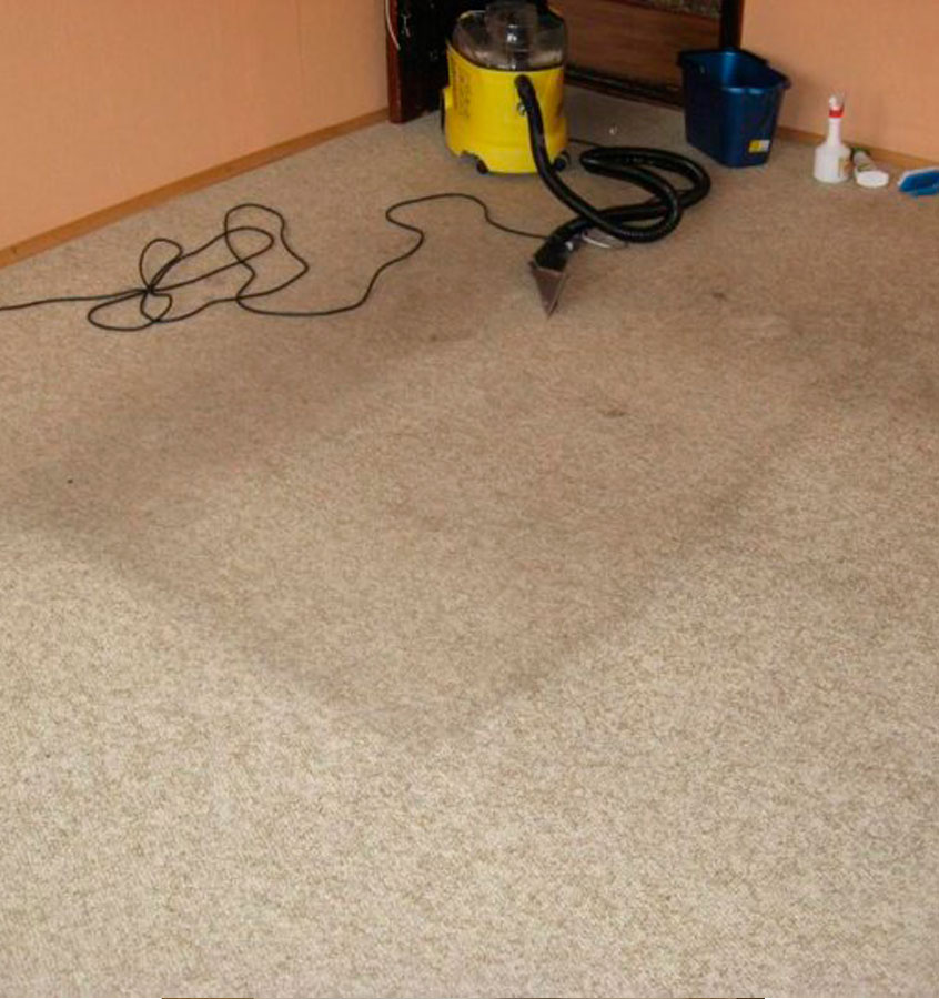 carpet cleaning
